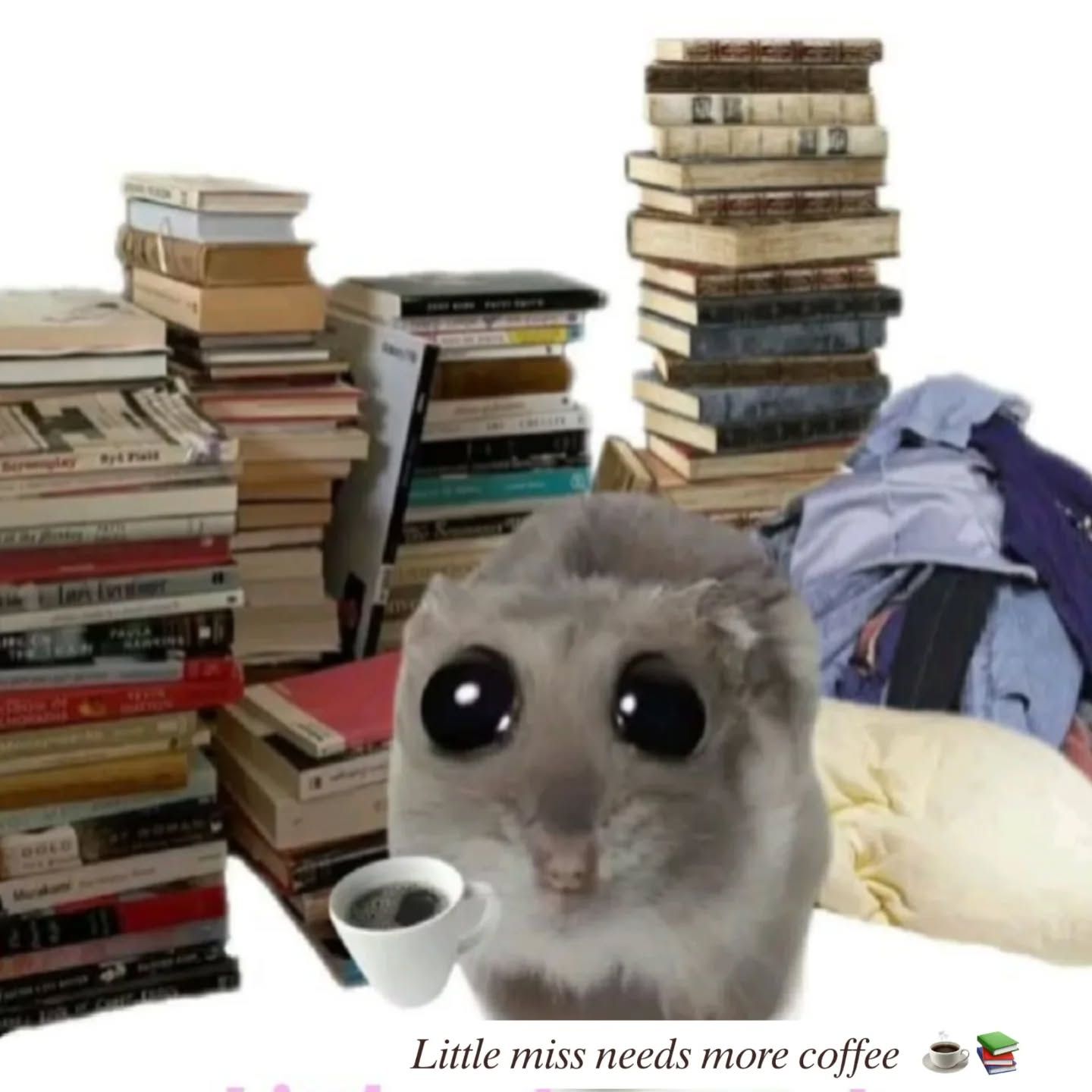 10 Clever Alternative Uses for Cat Litter!